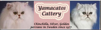 Yamacatos